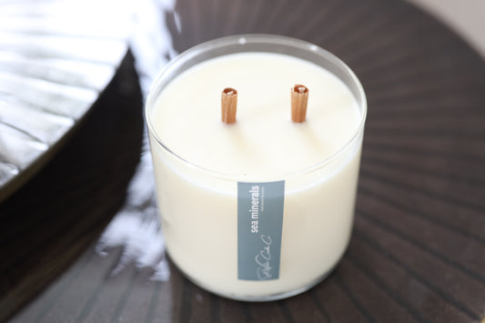 Sea Minerals Soy Candle